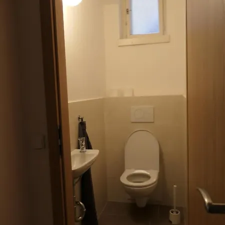 Apartman Smetanova